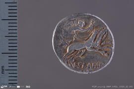 Denarius