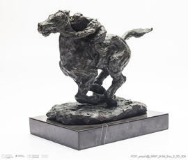 Cavalo em Corrida
