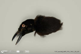 Acessório em pássaro