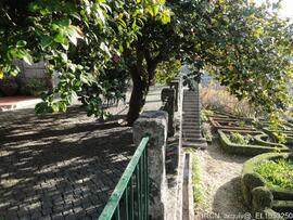 Jardim