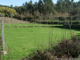Fotografia 021
