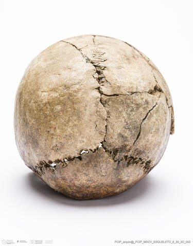 Open original Objeto digital