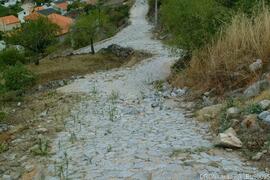 Fotografia 003