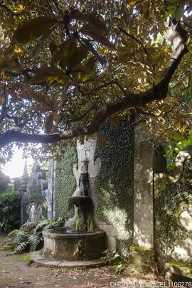 Fotografia 003