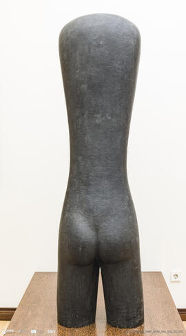 Torso