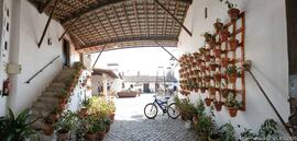 Fotografia do imovel: interior e exterior