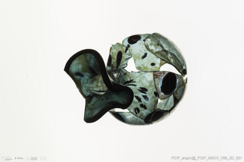 Open original Objeto digital