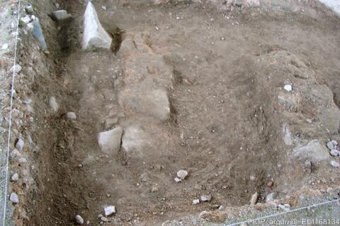 Open original Digital object