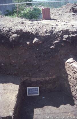 Barbeita - Colocação da antena da TMN - campo de barbeita