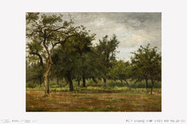Barbizon (um estudo de paisagem feito perto de Fontainebleau)
