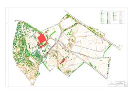 Levantamento topográfico - planta (2011)