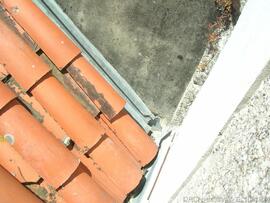 Fotografia 031