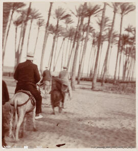 Álbum fotográfico - Viagem de Fev-Mai 1903 ao Mediterrâneo