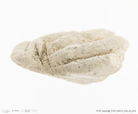 Membro superior