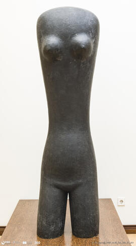 Torso