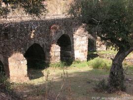 Fotografia 007