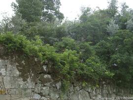 Fotografia do exterior do imovel