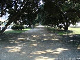Fotografia 006