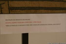 Fotografia 017
