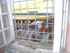 Obras no telhado