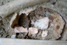 Sondagens  arqueológicas