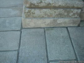 Fotografia 004
