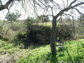 Fotografia 002