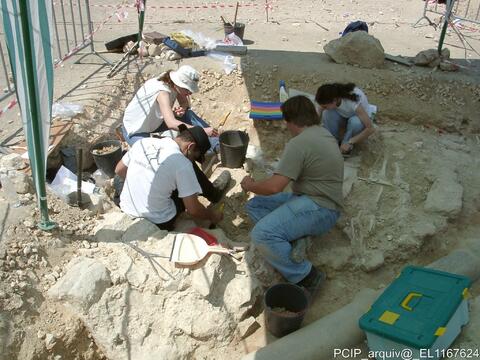 Open original Objeto digital