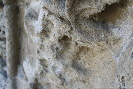Fotografia 009