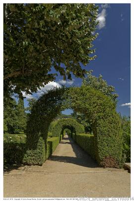 Jardim de Rosas