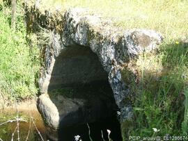Fotografia 010