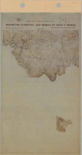 Perímetro Florestal - 17C [s.d.]