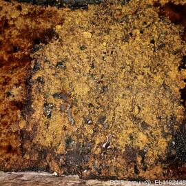 Fotografia do imovel: interior e exterior