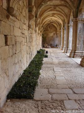 Claustro - Plantação herbácea