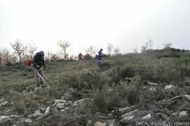 Fotografia 019